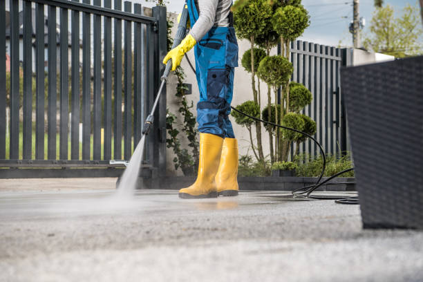 Best Driveway Cleaning and Restoration in Stockbridge, GA